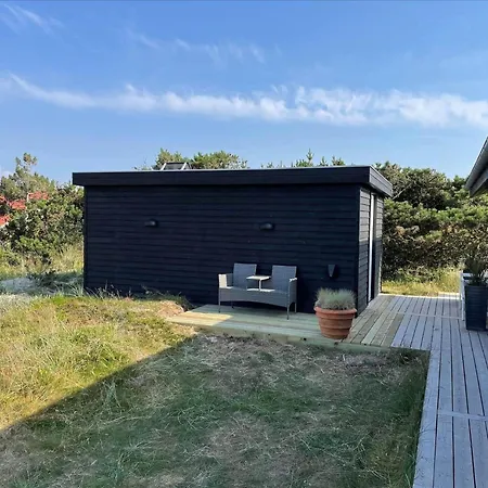 438-hvide-sande-tingodden-331 *