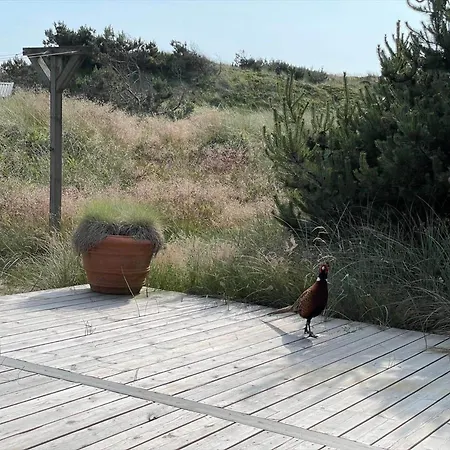 438-hvide-sande-tingodden-331 * Хвиде-Санде