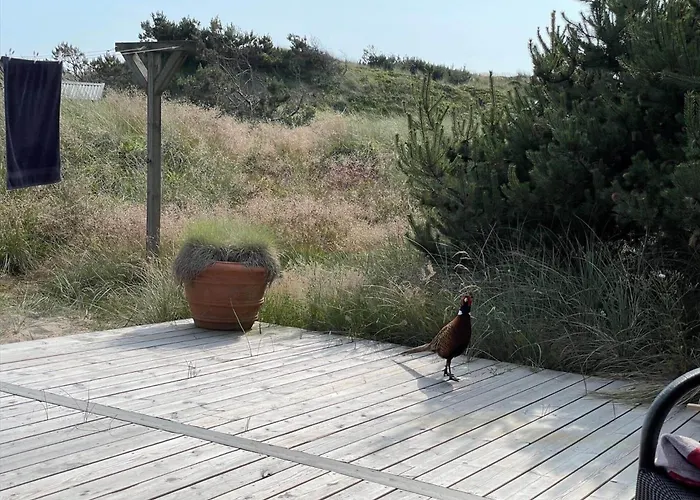 438-hvide-sande-tingodden-331 * Hvide Sande